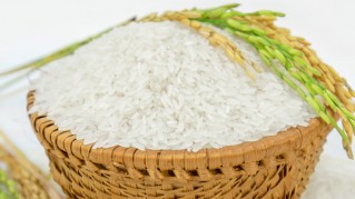 RICE