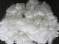 Polyester Fiber