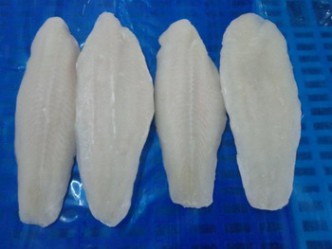 BASA FILLET