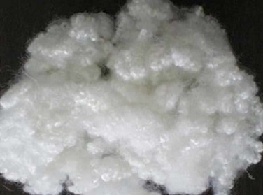 Polyester Fiber